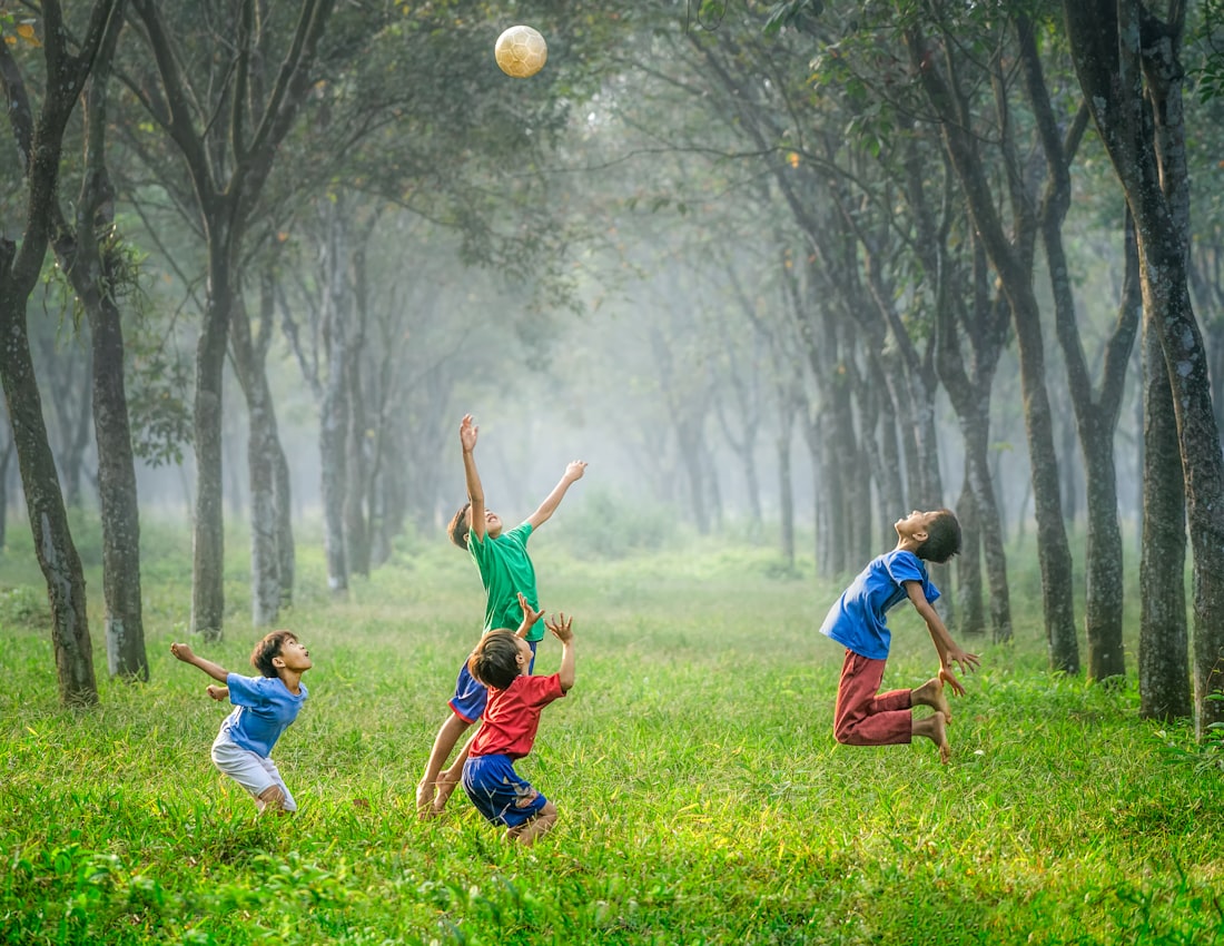 Дети на прогулке в лесу